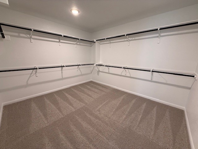 128 Alistair Dr, Georgetown, TX 78633 - spacious closet with carpet flooring