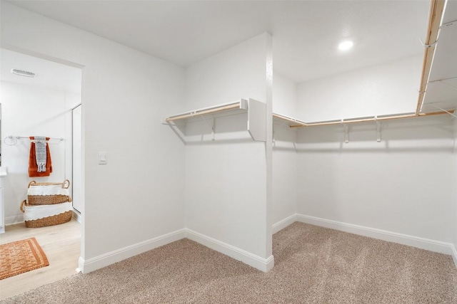 walk in closet with carpet flooring