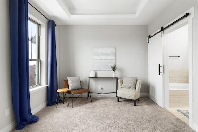 living area featuring carpet, a tray ceiling, and a barn door