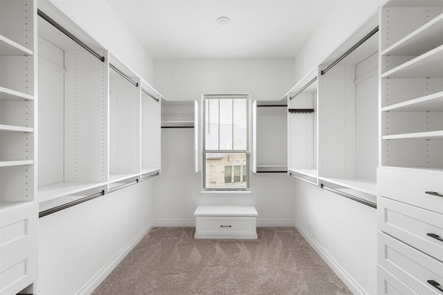 walk in closet featuring light colored carpet