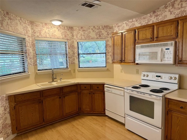 kitchen with a healthy amount of sunlight, white appliances, sink, and light hardwood / wood-style flooring