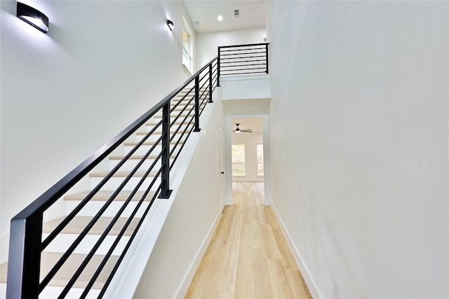 staircase with hardwood / wood-style flooring