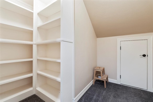 504 River Down Rd, Georgetown, TX 78628 - view of storage area