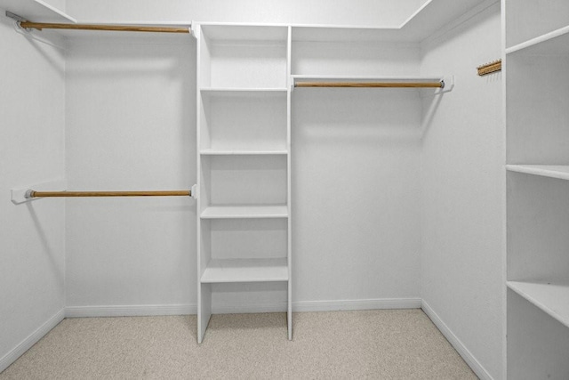 walk in closet featuring light carpet