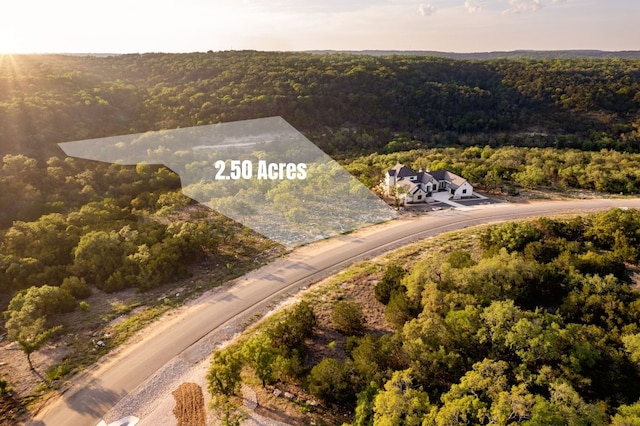 1333 Powder Ridge Rd, New Braunfels, TX 78132 - photo 9