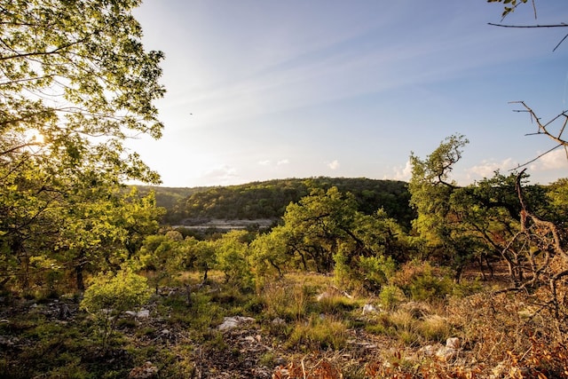 1333 Powder Ridge Rd, New Braunfels, TX 78132 - photo 4
