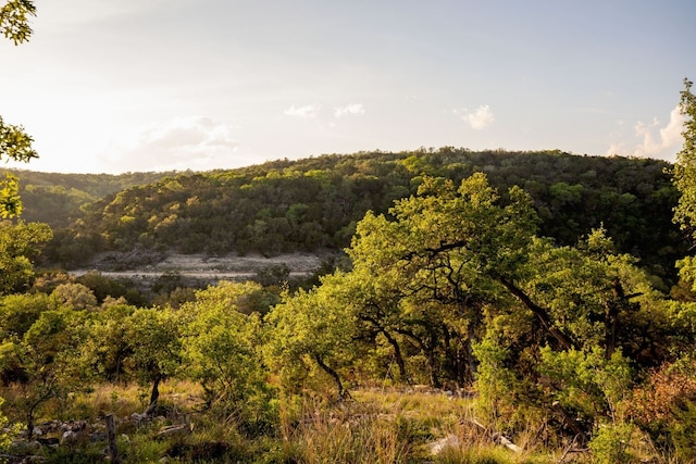 1333 Powder Ridge Rd, New Braunfels, TX 78132 - photo 7