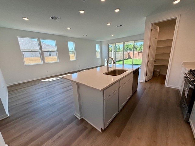1020 Stonehill Dr, Georgetown, TX 78633 - kitchen featuring a sink, dark wood finished floors, appliances with stainless steel finishes, recessed lighting, and light countertops
