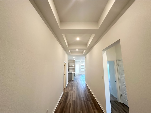 corridor featuring a tray ceiling and dark hardwood / wood-style flooring