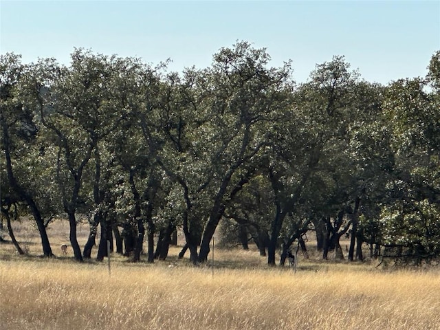 LOT186 Blackbuck Ridge Dr, Lampasas, TX 76550 - photo 13