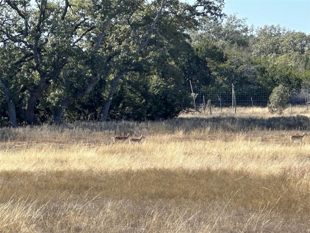 LOT186 Blackbuck Ridge Dr, Lampasas, TX 76550 - photo 16
