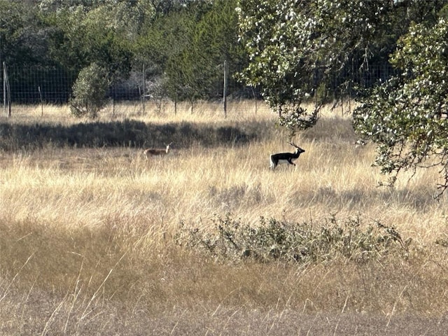 LOT186 Blackbuck Ridge Dr, Lampasas, TX 76550 - photo 17