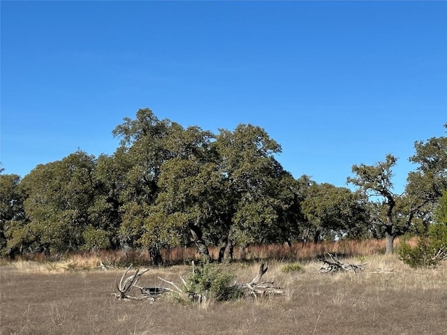 LOT186 Blackbuck Ridge Dr, Lampasas, TX 76550 - photo 19