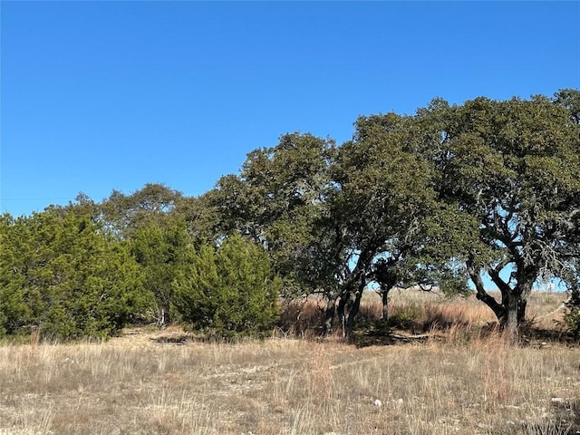LOT186 Blackbuck Ridge Dr, Lampasas, TX 76550 - photo 20