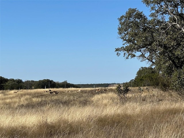 LOT186 Blackbuck Ridge Dr, Lampasas, TX 76550 - photo 21