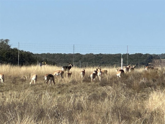 LOT186 Blackbuck Ridge Dr, Lampasas, TX 76550 - photo 22
