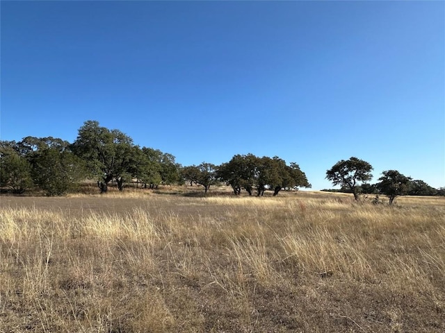 LOT186 Blackbuck Ridge Dr, Lampasas, TX 76550 - photo 24