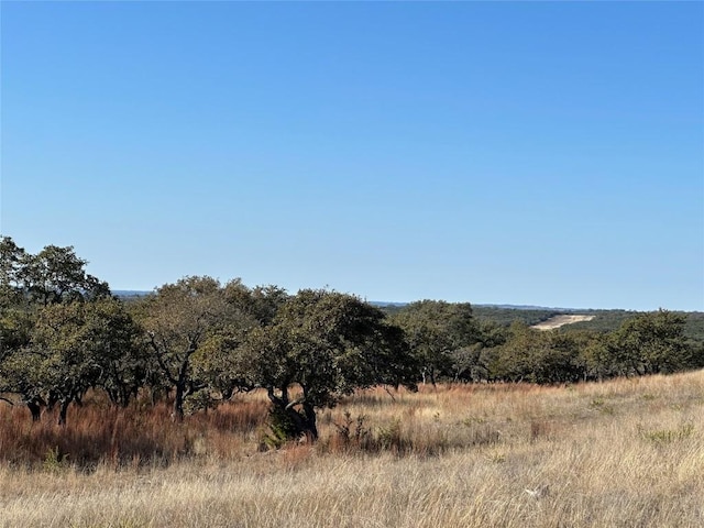 LOT186 Blackbuck Ridge Dr, Lampasas, TX 76550 - photo 30