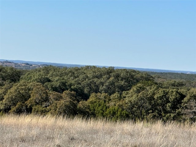 LOT186 Blackbuck Ridge Dr, Lampasas, TX 76550 - photo 31