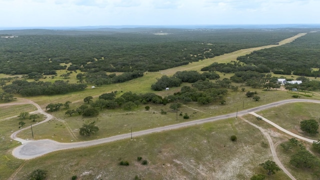 LOT186 Blackbuck Ridge Dr, Lampasas, TX 76550 - photo 1
