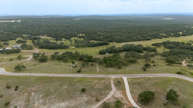LOT186 Blackbuck Ridge Dr, Lampasas, TX 76550 - photo 5