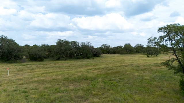 LOT186 Blackbuck Ridge Dr, Lampasas, TX 76550 - photo 6