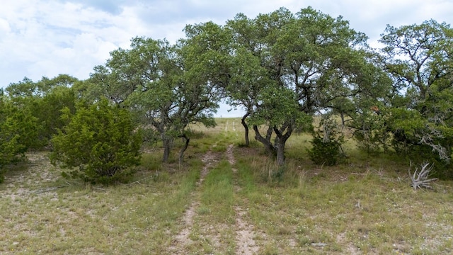 LOT186 Blackbuck Ridge Dr, Lampasas, TX 76550 - photo 8