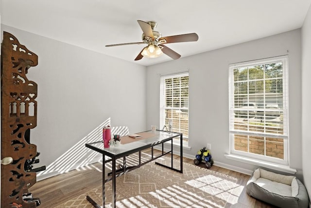 office area featuring ceiling fan, baseboards, and wood finished floors