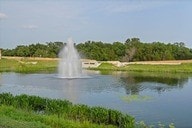225 Skyflower Dr, Georgetown, TX 78628 - water view with a heavily wooded area