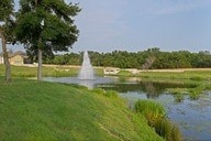 225 Skyflower Dr, Georgetown, TX 78628 - water view