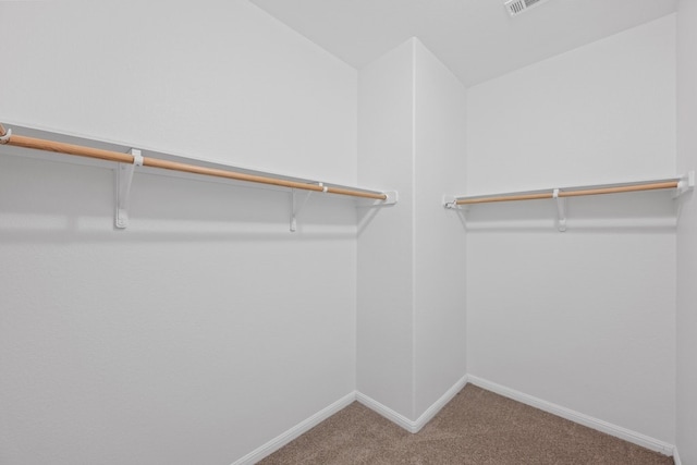 walk in closet with carpet flooring