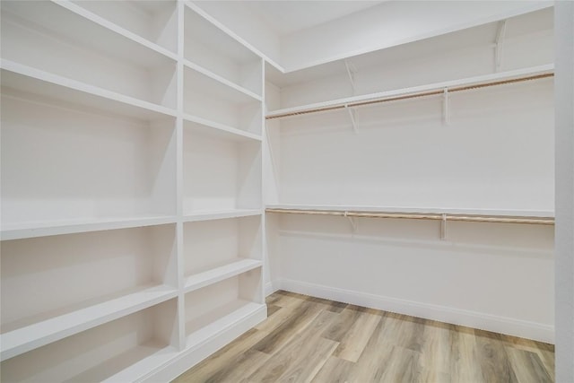 spacious closet featuring hardwood / wood-style floors