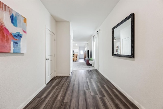 hallway with dark wood-type flooring