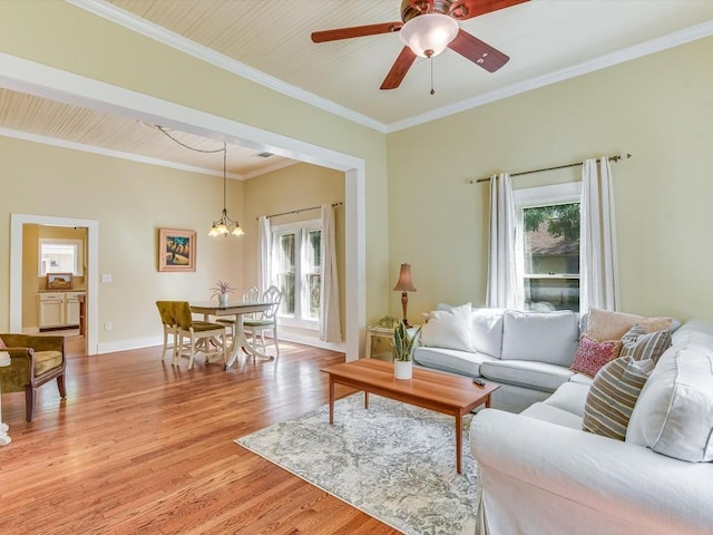 living room featuring ceiling fan with notable chandelier, crown molding, a wealth of natural light, and light hardwood / wood-style flooring