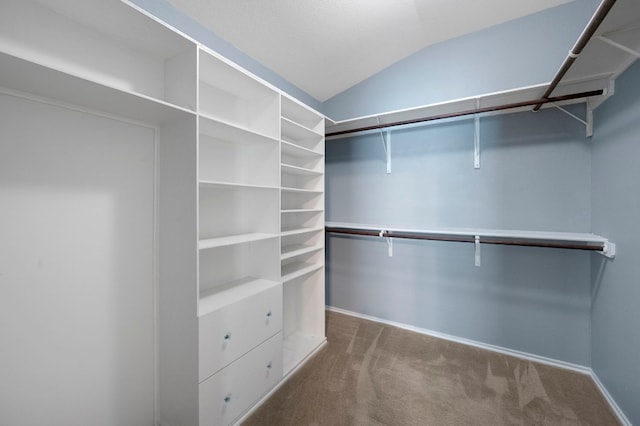 walk in closet featuring carpet flooring and lofted ceiling