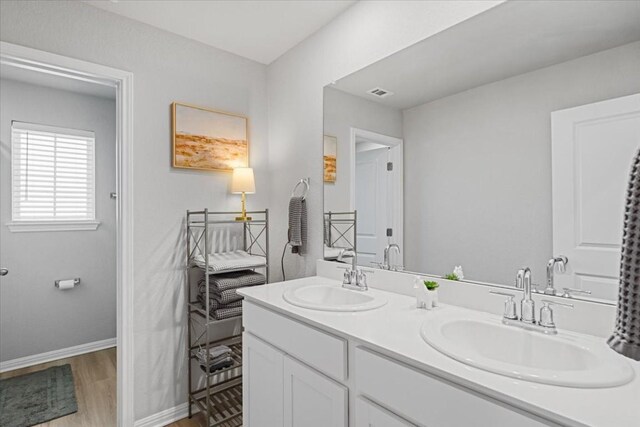 bathroom with vanity and wood-type flooring