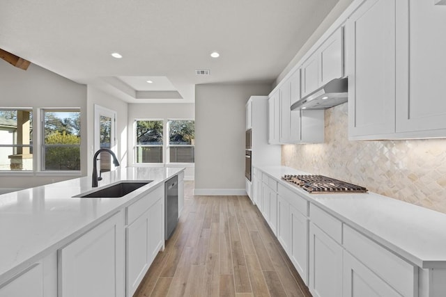 kitchen with exhaust hood, sink, light wood-type flooring, white cabinetry, and stainless steel appliances