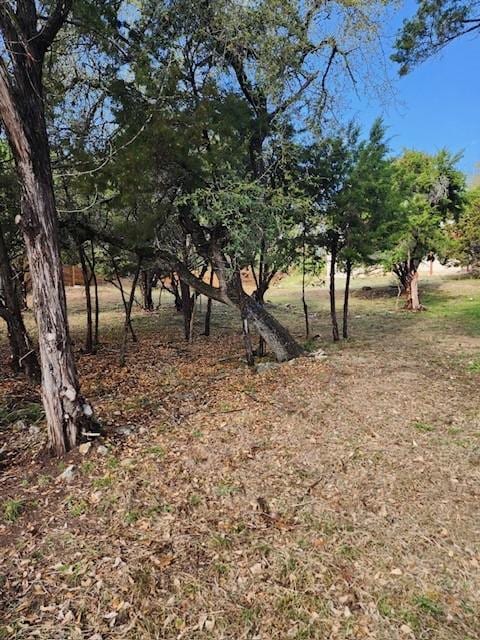 Listing photo 2 for 18510 Staghorn Dr, Point Venture TX 78645