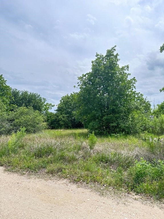 136A Wild Bird Loop, Smithville TX, 78957 land for sale