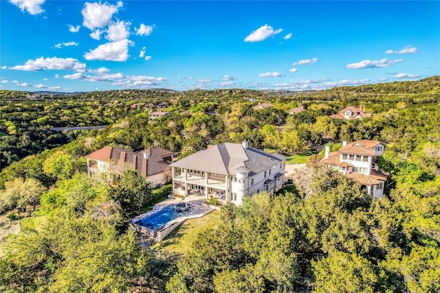 7302 Matisse Pointe Dr, Jonestown, TX 78645 - bird's eye view of a heavily wooded area