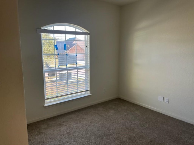 empty room with carpet floors and a healthy amount of sunlight