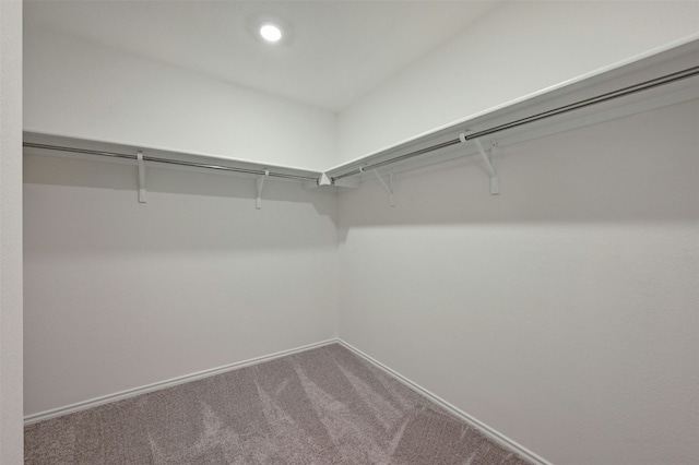 walk in closet featuring carpet