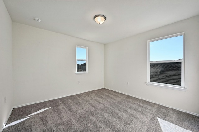 empty room with carpet and a healthy amount of sunlight