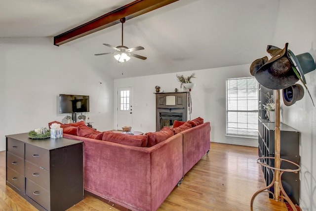 living room with lofted ceiling with beams, a healthy amount of sunlight, light hardwood / wood-style floors, and ceiling fan