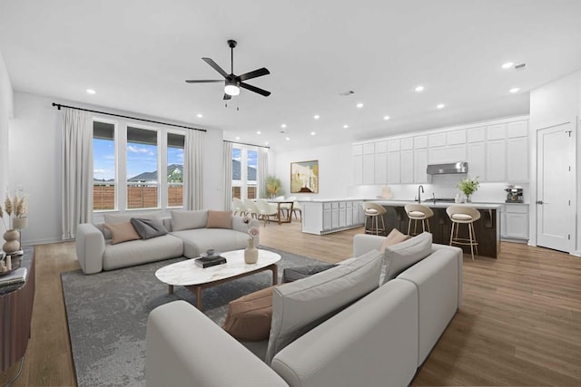 208 San Xavier St, Georgetown, TX 78633 - living area featuring ceiling fan, light wood-style flooring, and recessed lighting