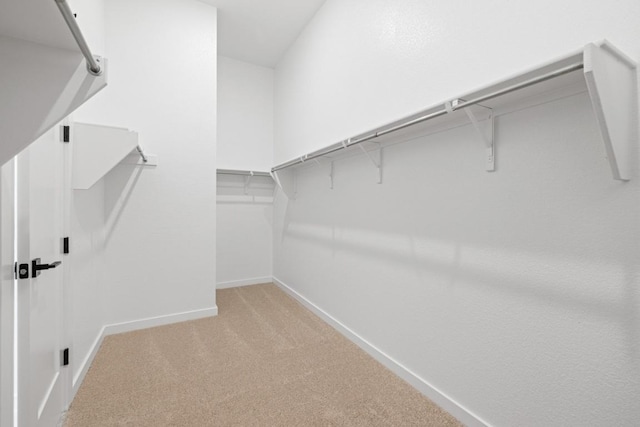 208 San Xavier St, Georgetown, TX 78633 - spacious closet featuring light carpet