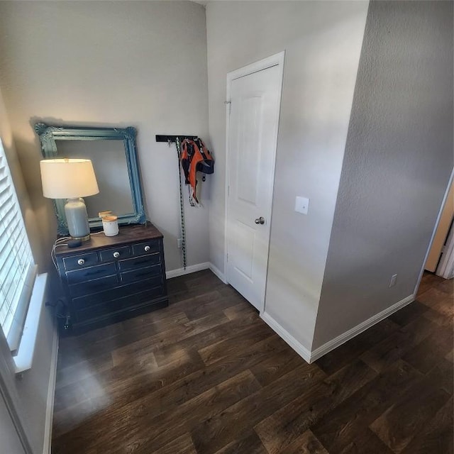 hall featuring dark hardwood / wood-style floors