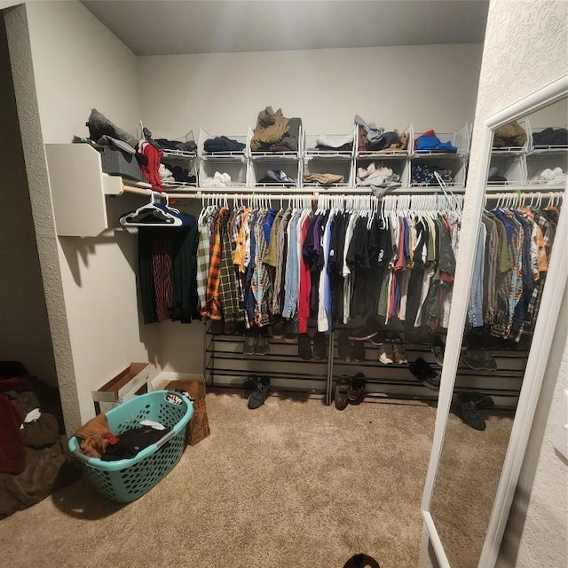 spacious closet featuring carpet