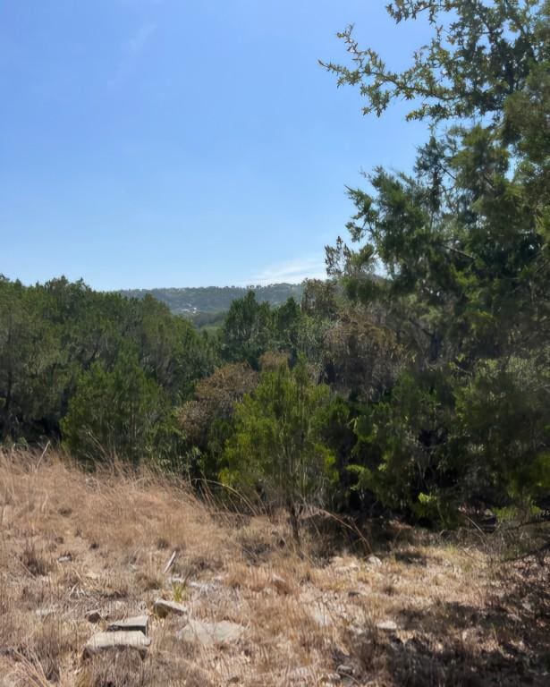 8118 Foothill Cv, Leander, TX 78645