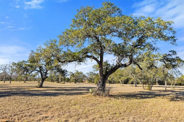 Listing photo 3 for 167 Mr Charlie Ln, Round Mountain TX 78663